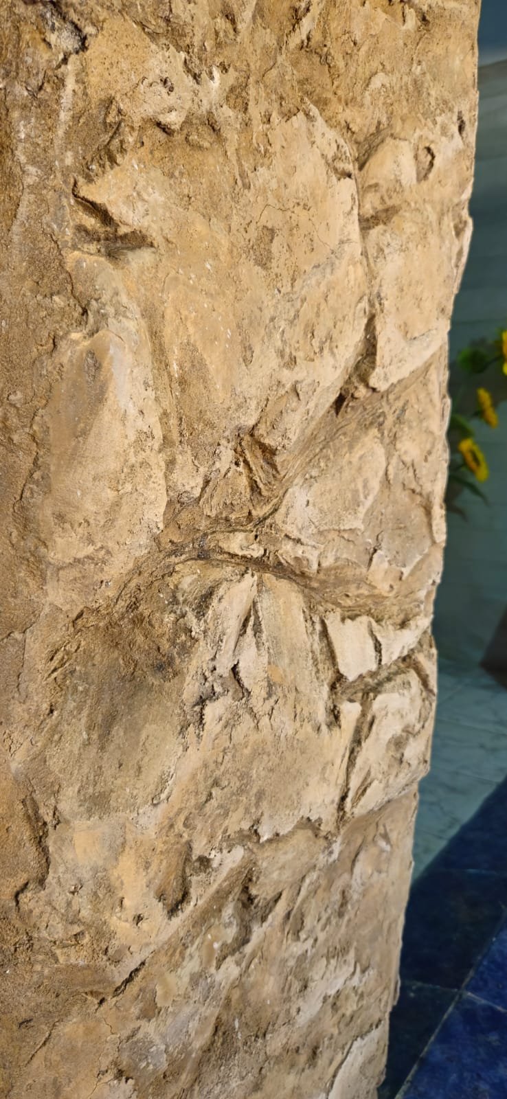 Efecto roca en columna exterior